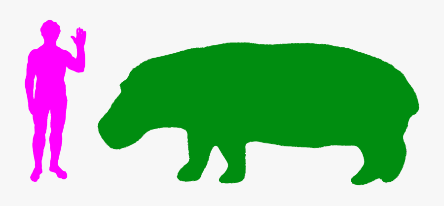 Clip Art Big Animals The Is - Hippo Size Compared To Human, Transparent Clipart