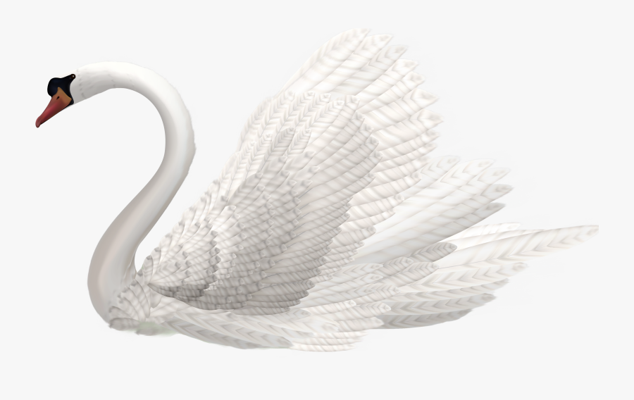 White Swan Png Clipart Image - Swan Images Hd Png, Transparent Clipart