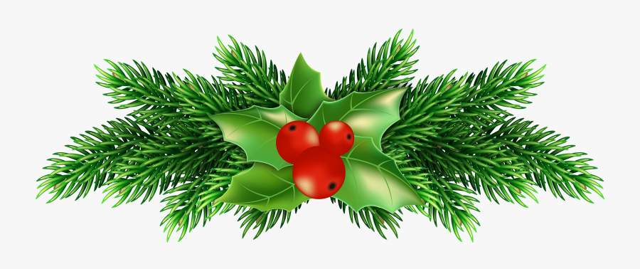 Christmas Holly Pine Png Clip Art Image - Christmas Holly Png Transparent, Transparent Clipart