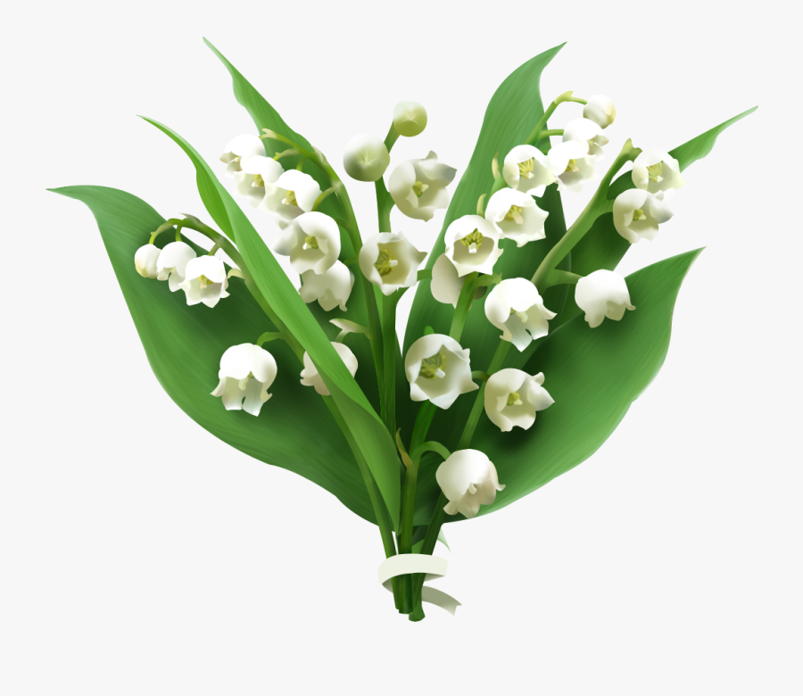 Clip Art Lily Of The Valley Floral - Lily Of The Valley ...