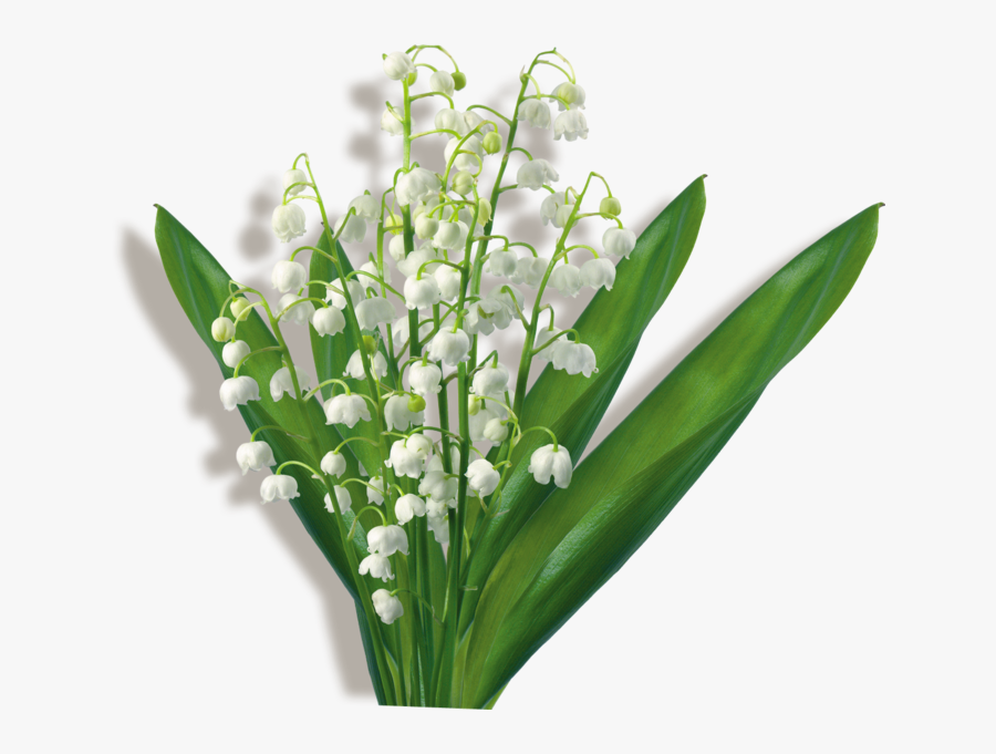 Flower Bouquet Clip Art Lily Of The Valley Gif - Mois De Mai, Transparent Clipart