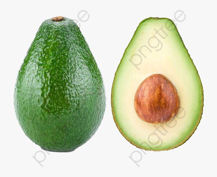 Avocado Clipart Cartoon - Avocado Png, Transparent Clipart