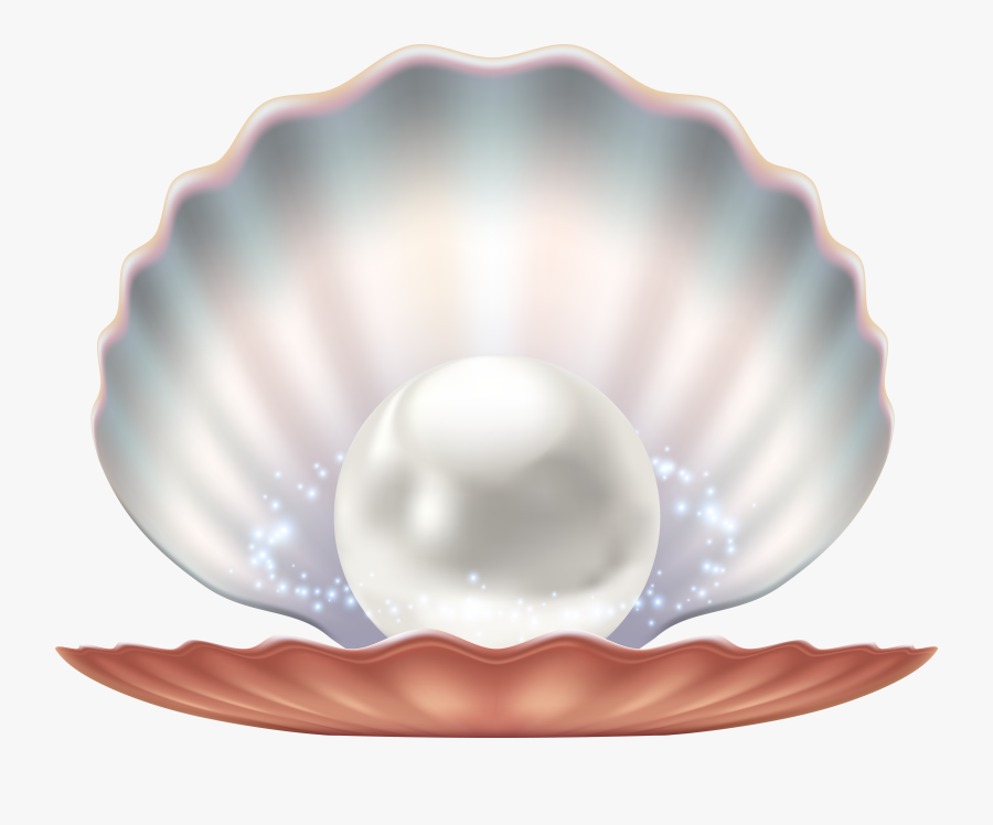 Seashells Clipart Pearl , Free Transparent Clipart - ClipartKey