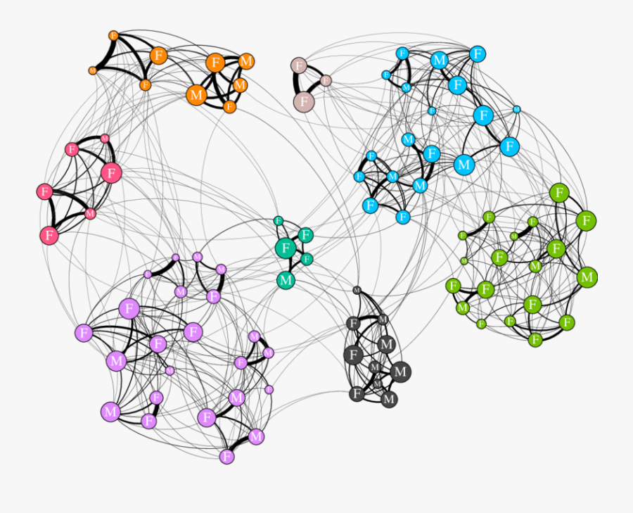 An Example Annual Social Network For The Southern Resident - Drawing, Transparent Clipart