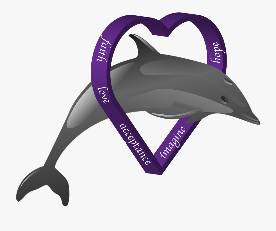 Dds Vs Png Dolphin, Transparent Clipart