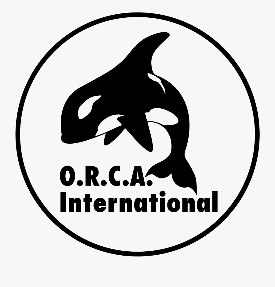 Orca International Logo Png Transparent - Killer Whale, Transparent Clipart