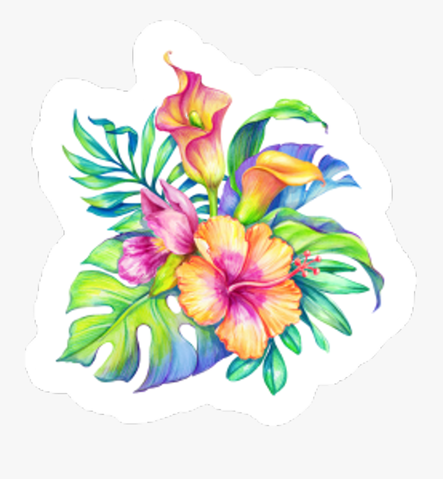 #flowers #hawaiian #tropical #colorful #nature #sticker - Colorful Tropical Flowers, Transparent Clipart