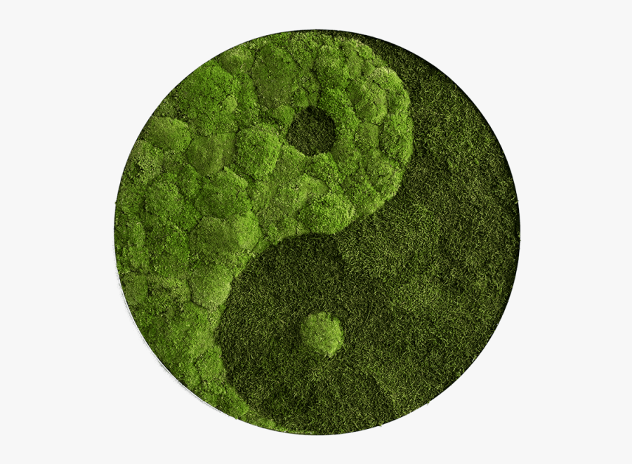 Yin Yang Forest, Transparent Clipart