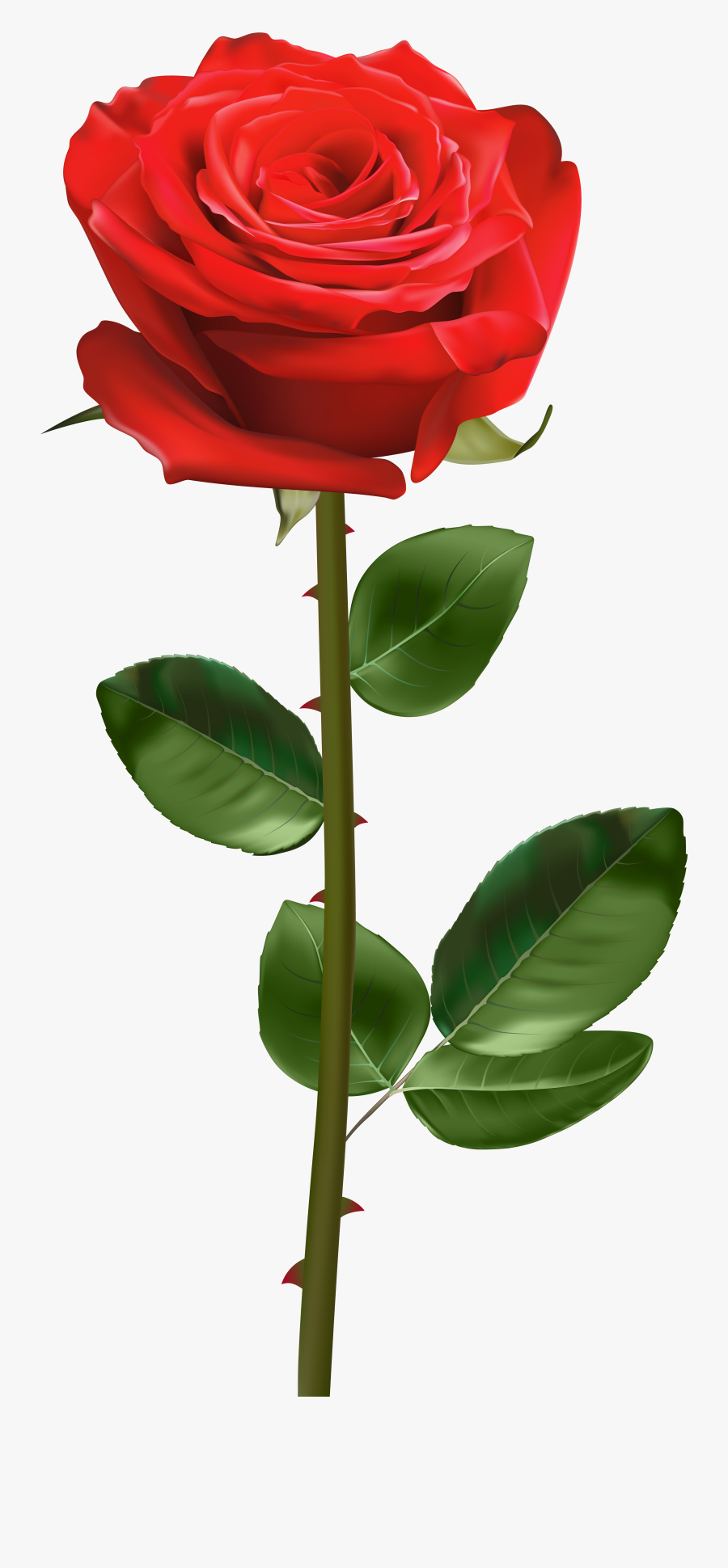 Blue Rose With Thorns, Transparent Clipart