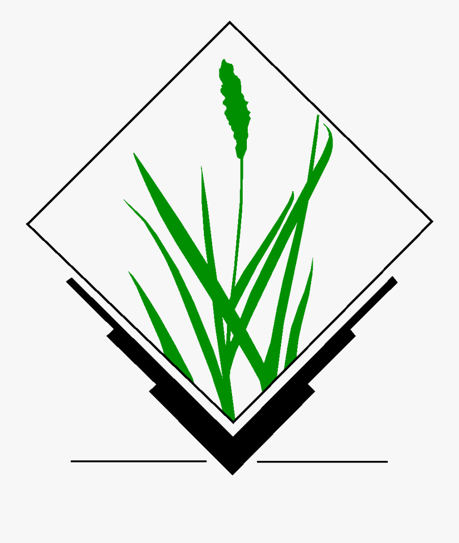 Grass Gis, Transparent Clipart