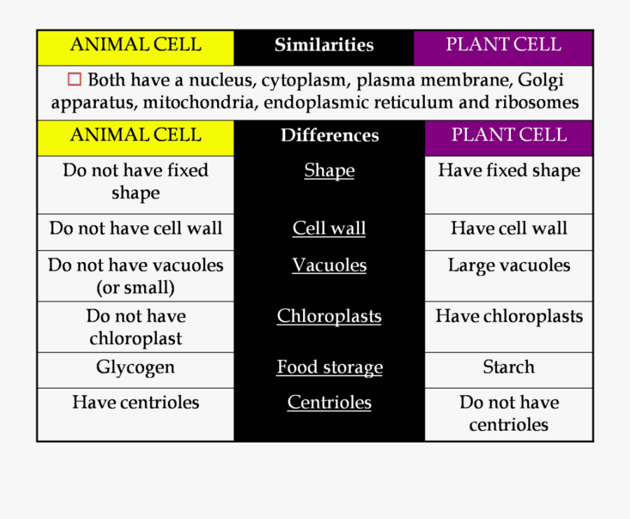 Transparent Plant Cell Clipart - Difference Bt Plant And Animal Cell ...