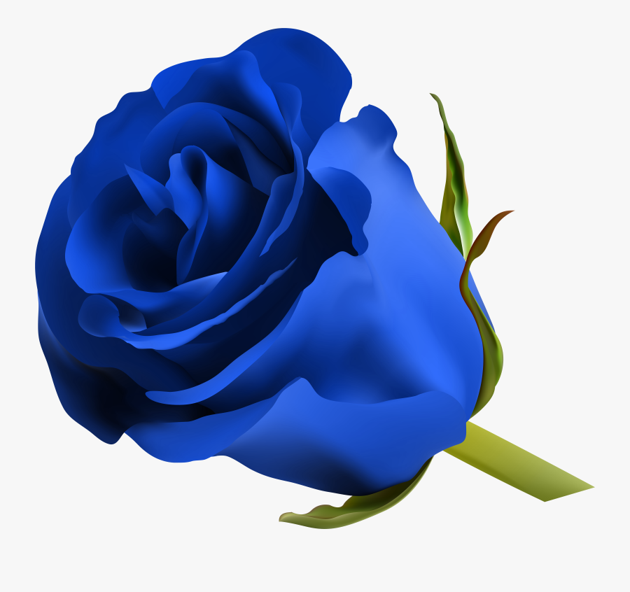 Transparent Roses Png Transparent - Royal Blue Flower Png, Transparent Clipart