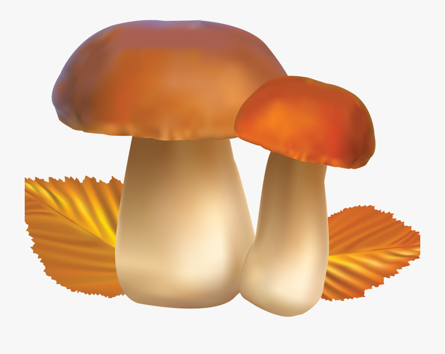 Transparent Cute Mushroom Clipart - Food Vector, Transparent Clipart