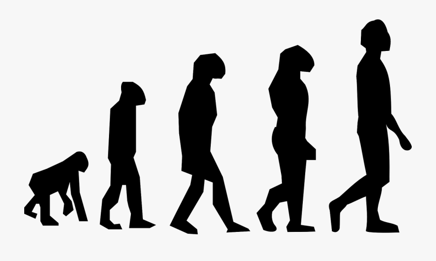 Human Evolution, Transparent Clipart