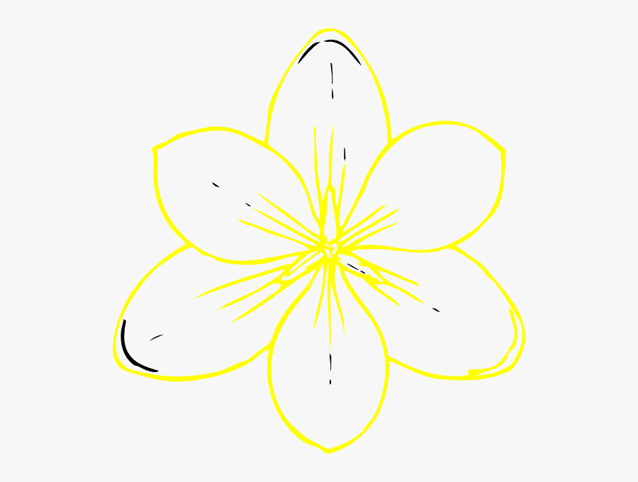 Animated Buttercup Flowers, Transparent Clipart