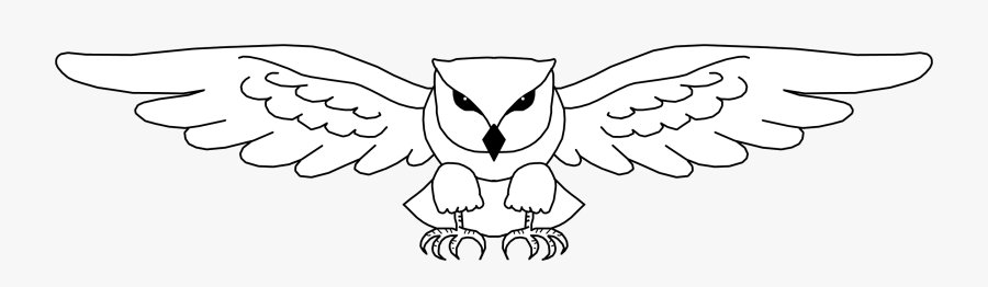 Simple Owl Line Drawing - Cartoon, Transparent Clipart