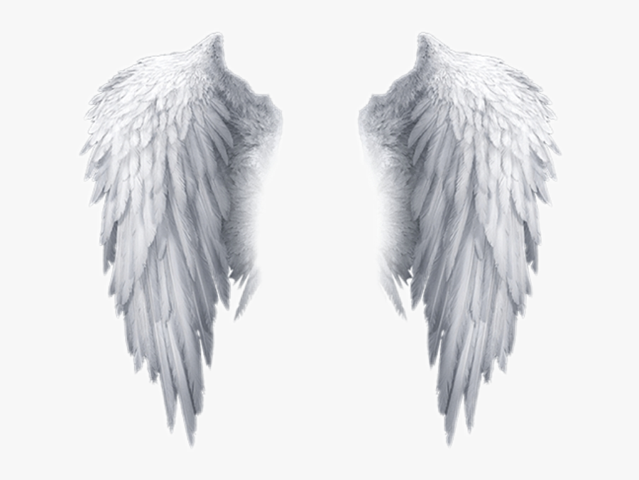 Angel Wings Transparent, Transparent Clipart