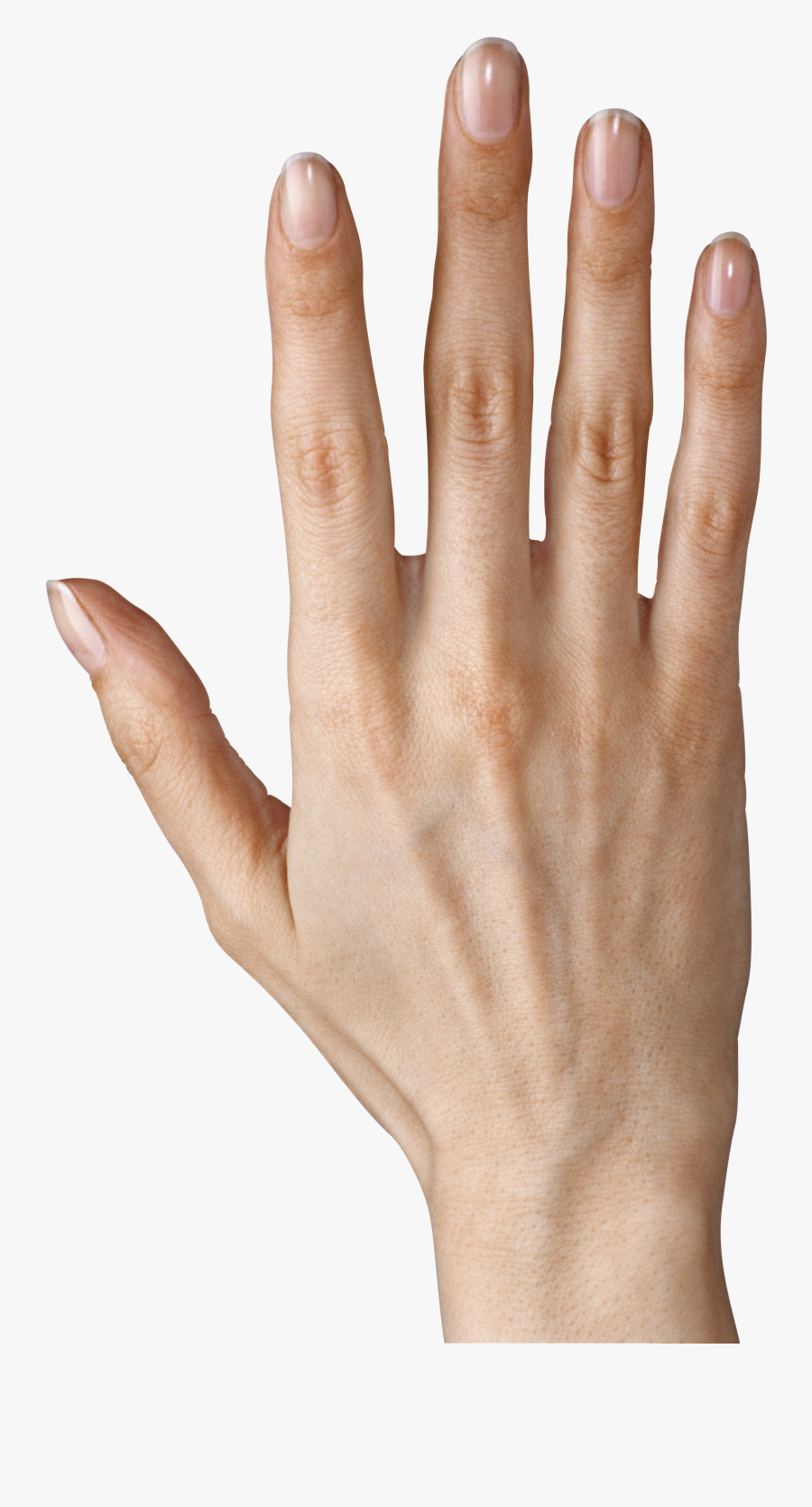 Hand Showing Five Fingers Png Clipart Image - Fingers .png, Transparent Clipart