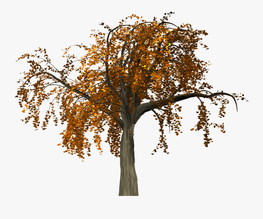 Autumn Tree Branch Free Clipart Hd Clipart - Pohon Gugur Png, Transparent Clipart