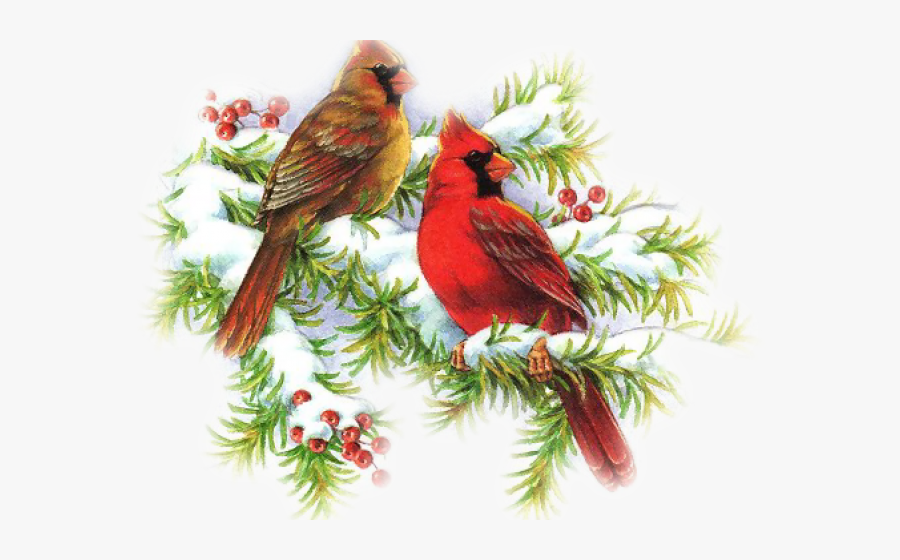 Free On Dumielauxepices Net - Aves Navideñas, Transparent Clipart