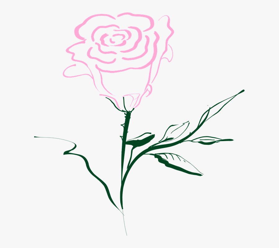 Pink Rose Outline Png, Transparent Clipart