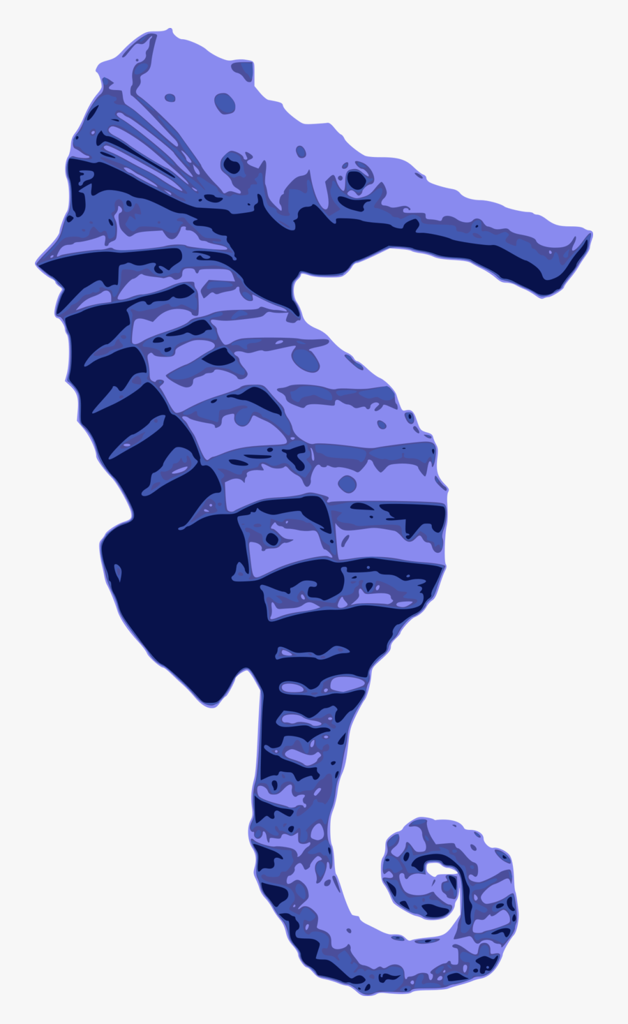 Blue Seahorse - Seahorse, Transparent Clipart