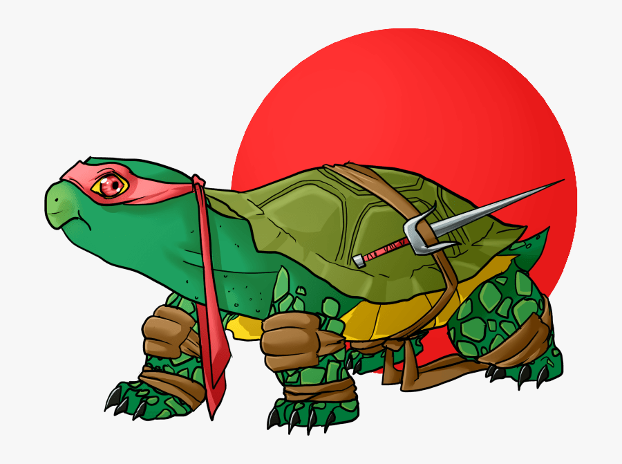 Turtle, Transparent Clipart