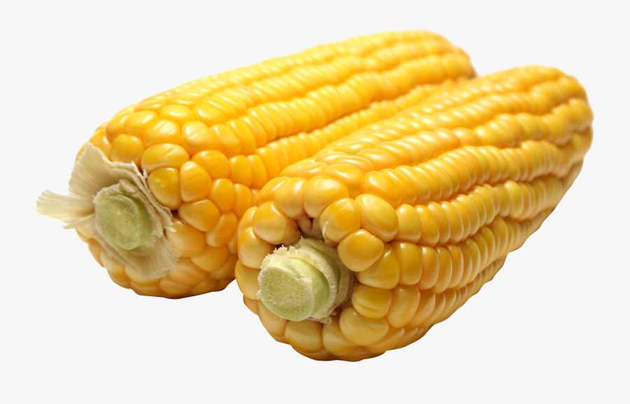 Jpg Transparent Png Image Purepng Free - Maize Png, Transparent Clipart