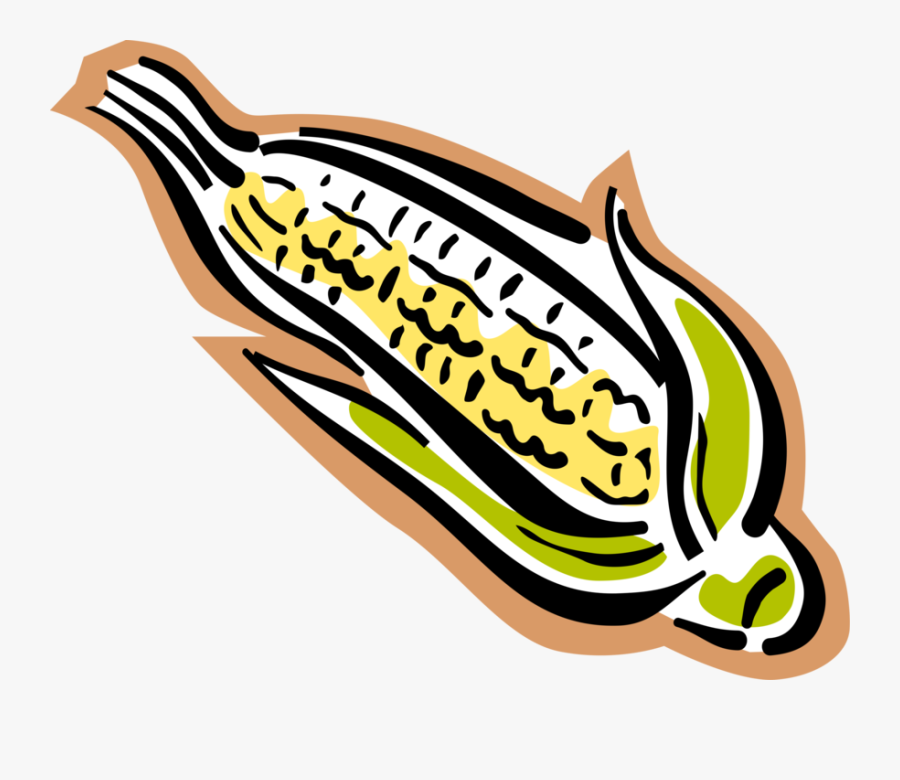 Vector Illustration Of Corn On The Cob Grain Plant - Illustration, Transparent Clipart