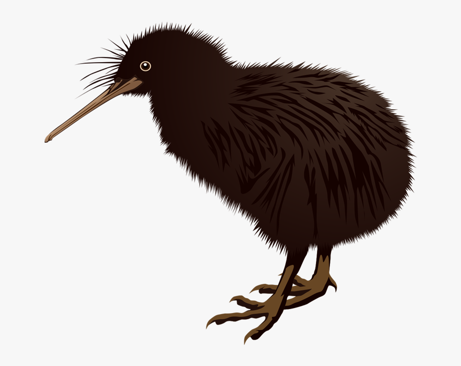 Pin Bird Clipart Kiwi - Clipart New Zealand Kiwi, Transparent Clipart