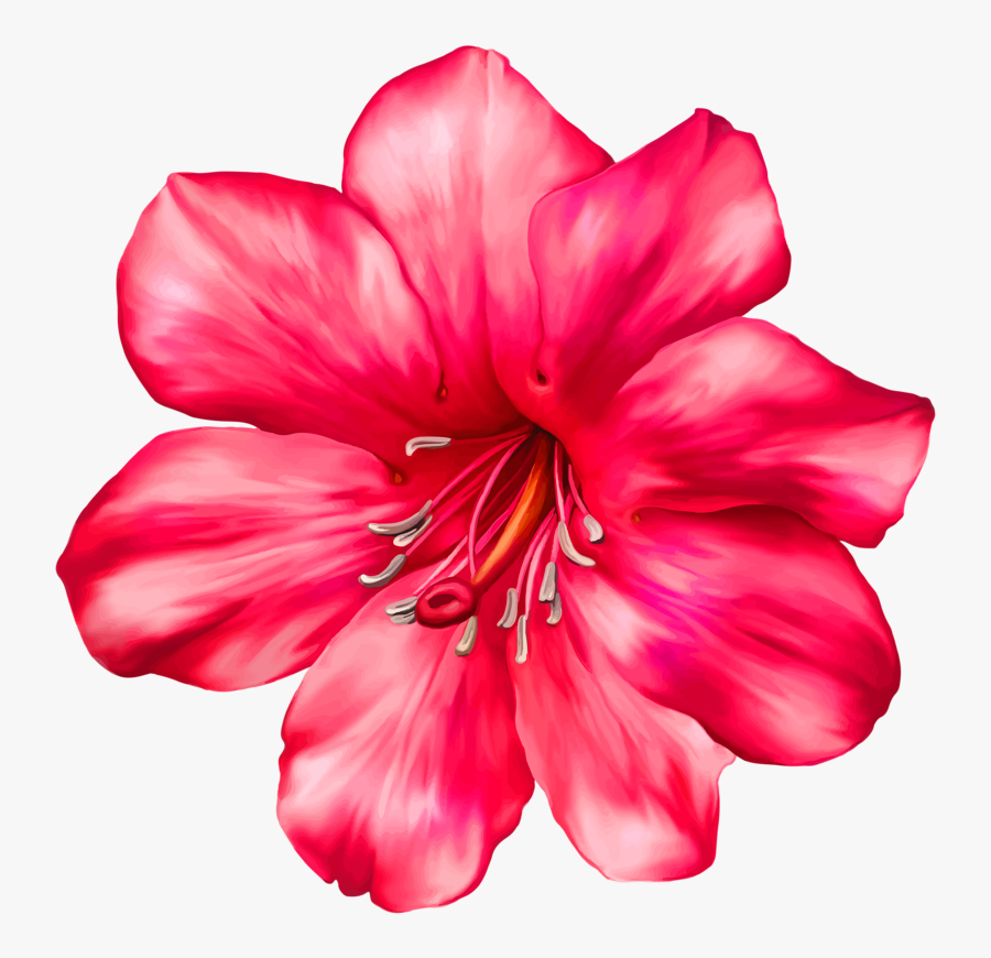 Moana Png Flor - Moana Baby Png Flor, Transparent Clipart