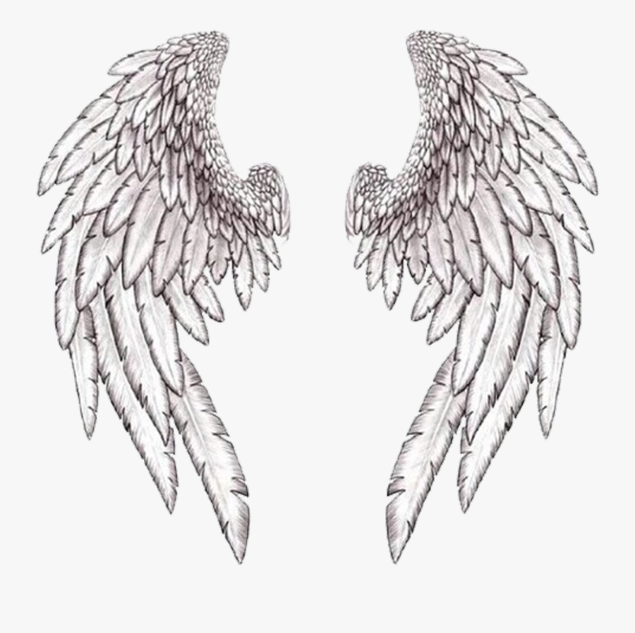 Transparent Angel Wings Clipart - Wings On Back Drawing, Transparent Clipart