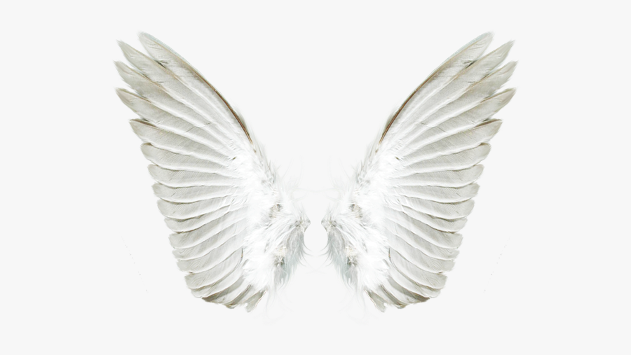 White Angel Wings Png - Transparent Angel Wings, Transparent Clipart