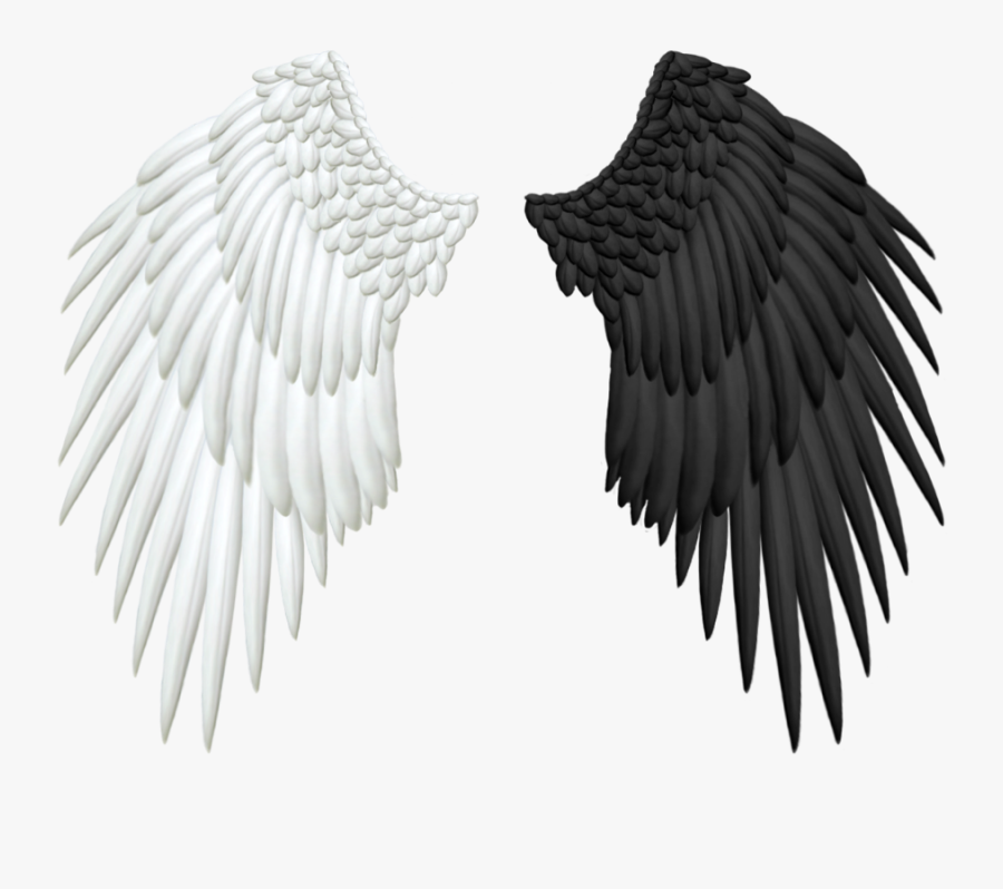 Good And Evil Angel Wings Png - Birds Picsart Png Hd, Transparent Clipart