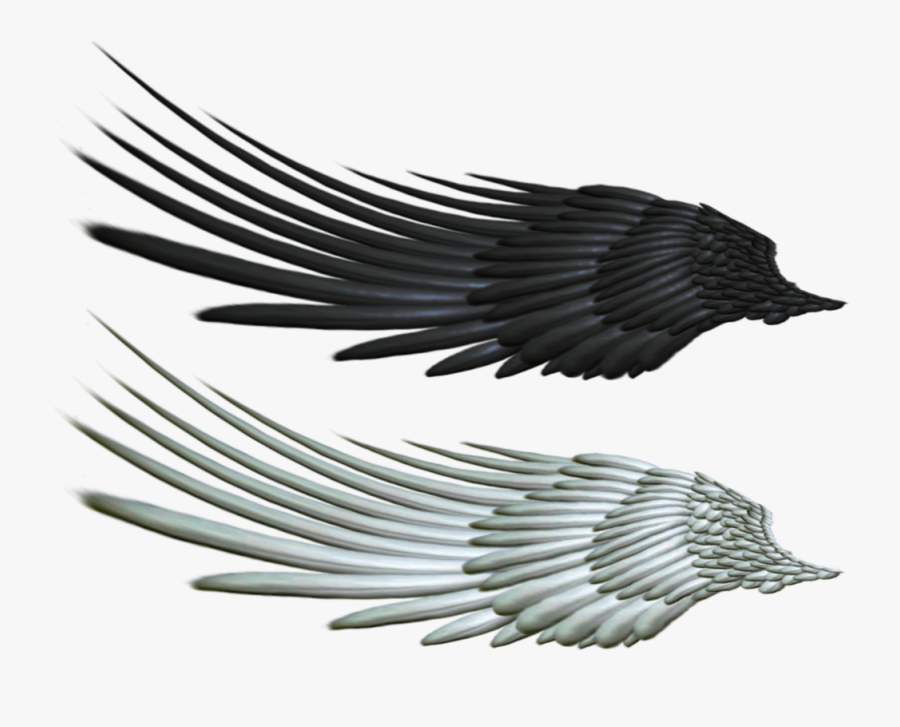 Evil Clipart Raven - Angel Raven Wings, Transparent Clipart