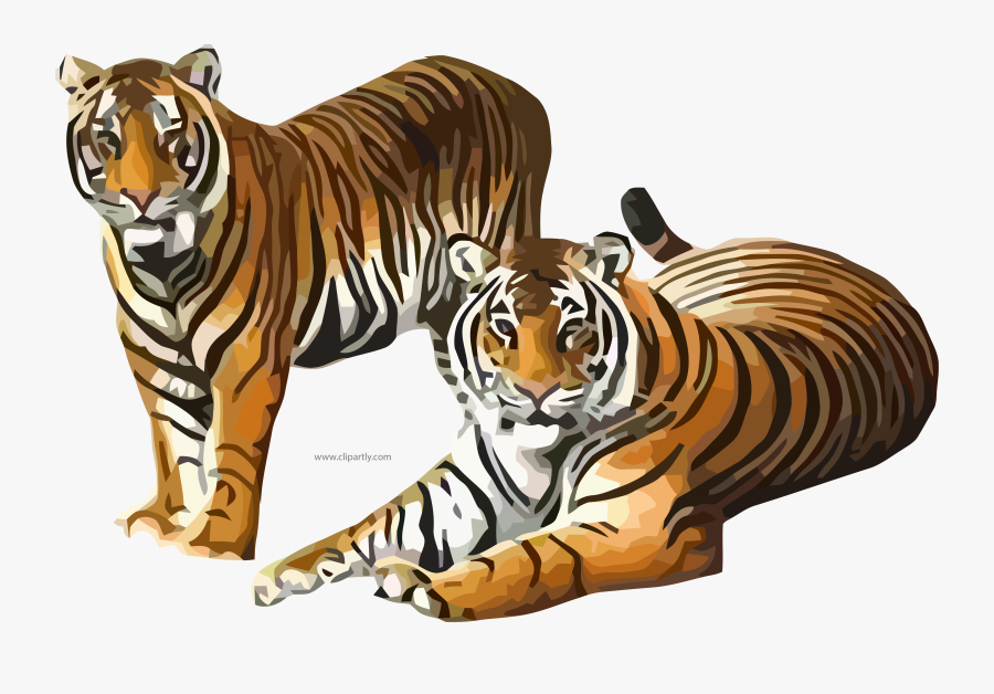 Clip Art Two Tigers, Transparent Clipart