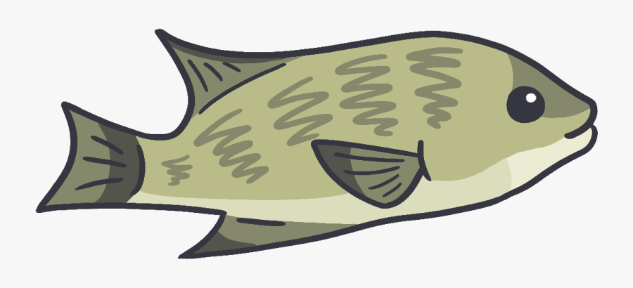 Pomacentridae, Transparent Clipart