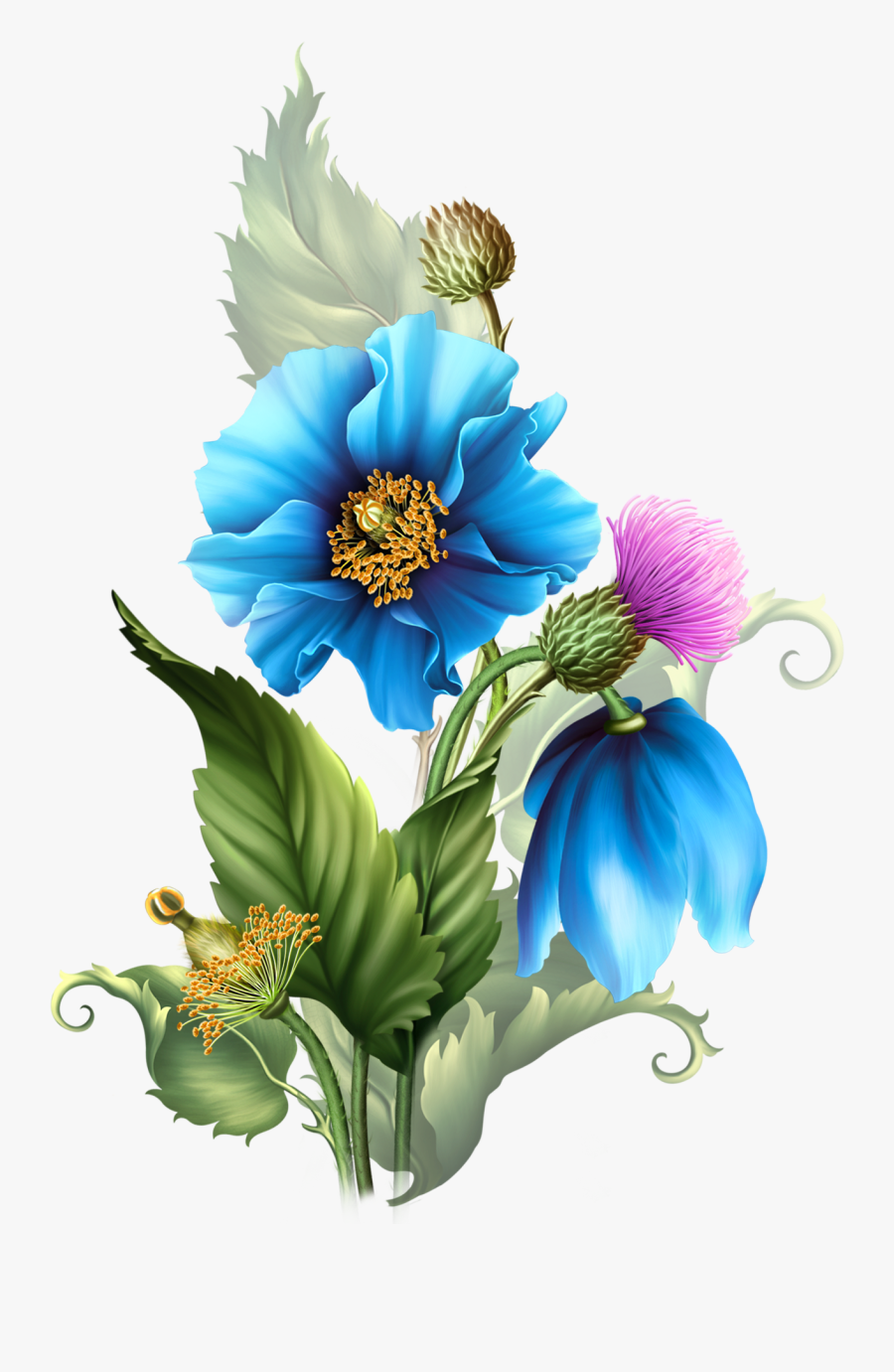 Collection Of Free Chrysanthemum Drawing Blue Download - Flower Border Transparent Botanical, Transparent Clipart