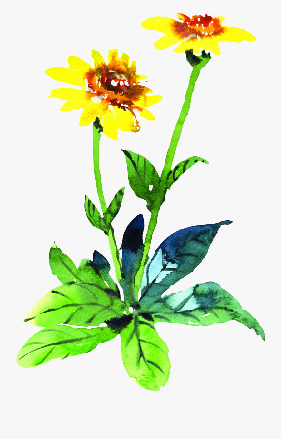 Free Free 248 Watercolor Sunflower Clipart Free SVG PNG EPS DXF File