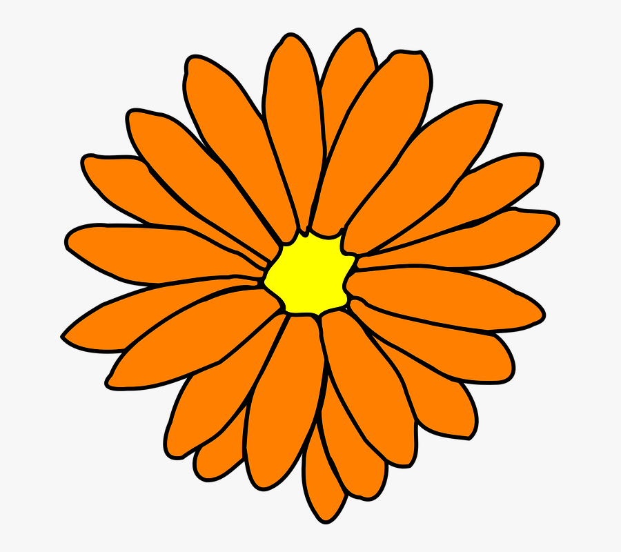 Florida Clipart Orange Blossom - Single Flower Images Clipart, Transparent Clipart