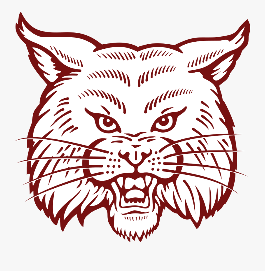 Cy Fair High School Bobcats, Transparent Clipart