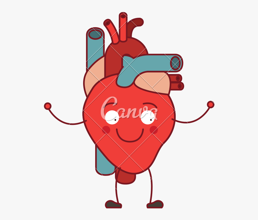 Human Heart Cartoon - Illustration, Transparent Clipart