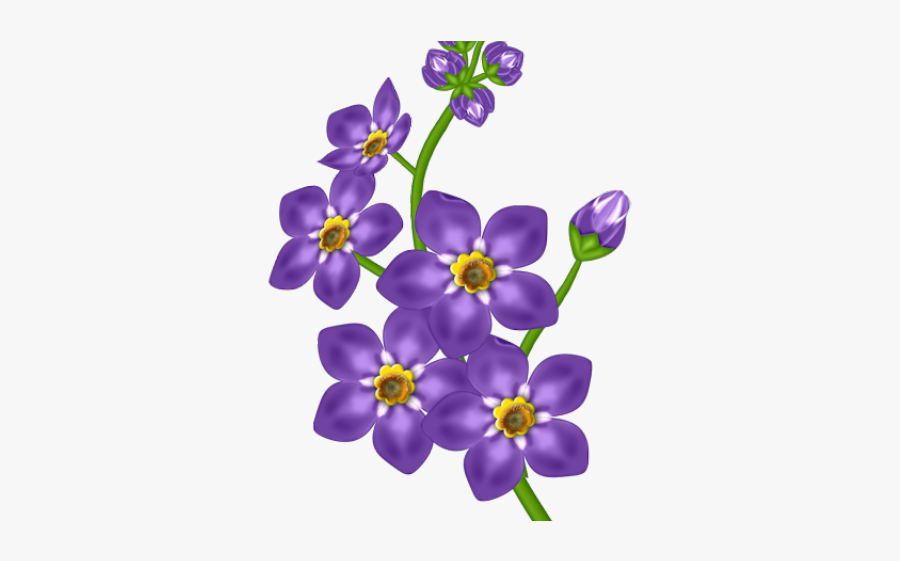 Lavender Purple Flower Clipart, Transparent Clipart