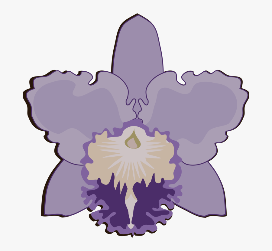 Plant,flower,lilac - Cattleya Flower Design, Transparent Clipart