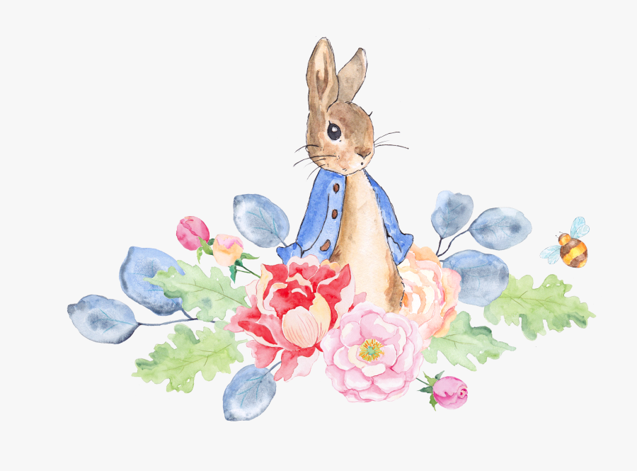 Making The Web Com - Peter Rabbit Watercolor Png, Transparent Clipart