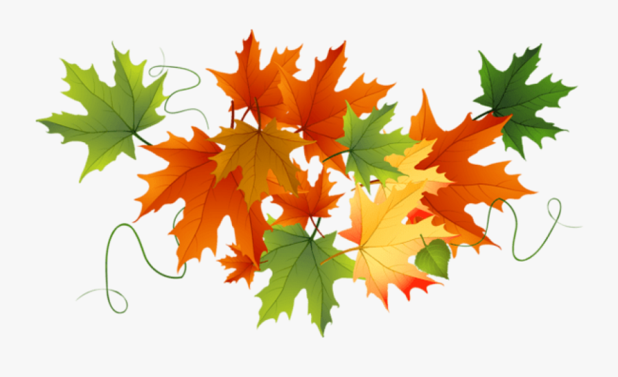 Free Png Download Autumn Transparent Leaves Clipart - Autumn Leaves Clipart Transparent Background, Transparent Clipart