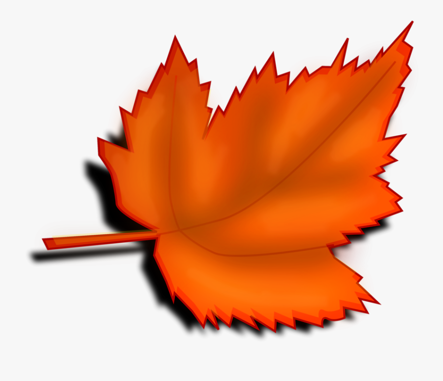 Leaves Clipart Orange Leaf - Leaf Clipart With No Background, Transparent Clipart