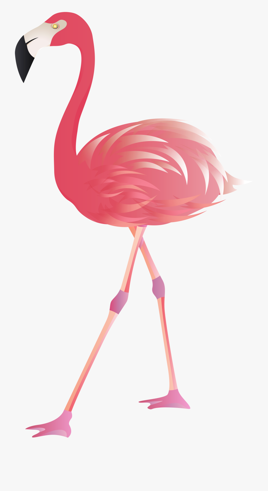 Transparent Inner Tube Clipart - Transparent Background Flamingo Png, Transparent Clipart