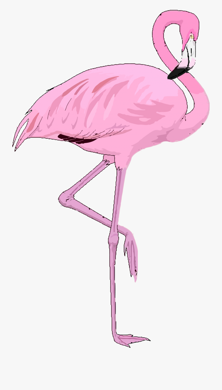 Free To Use Public Domain Flamingo Clip Art - Transparent Background Flamingo Clipart, Transparent Clipart
