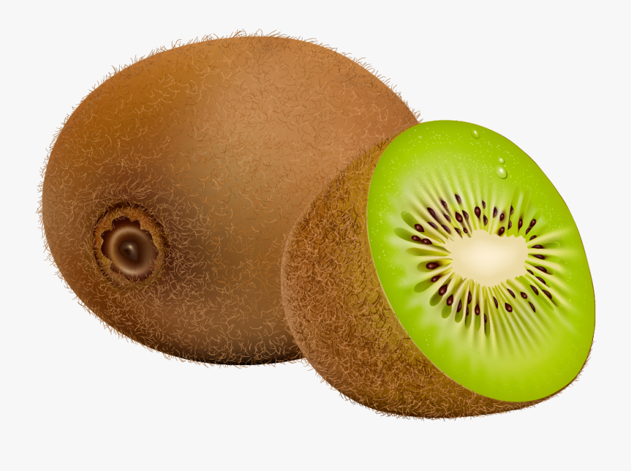 Kiwi Fruit Png Clipart - Kiwi Fruit Clipart, Transparent Clipart